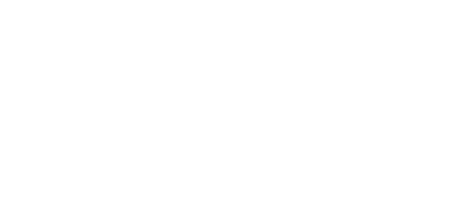 Logo_footer1